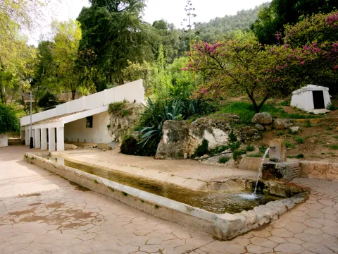 cabra del santo cristo