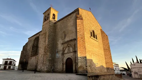 Torreperogil