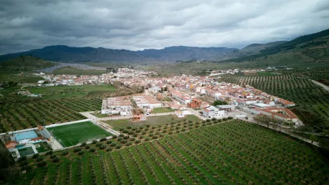 Puente Génave
