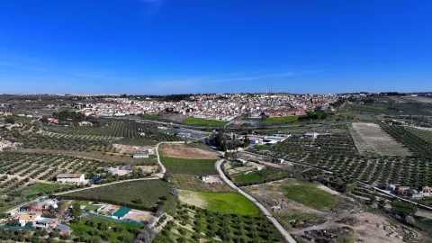 Torreperogil