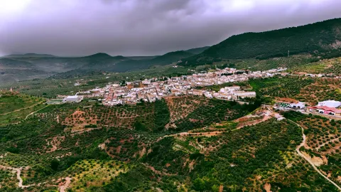 cabra del santo cristo