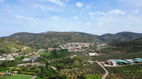 frailes