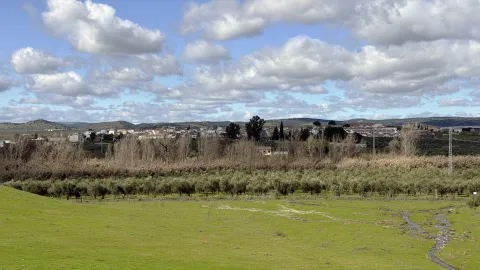 Guarromán