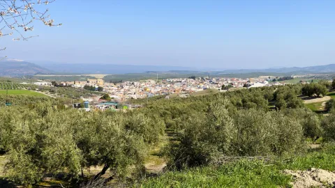 Villanueva del Arzobispo