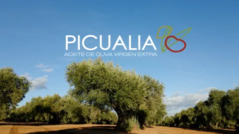 PANTALLA_01.jpg