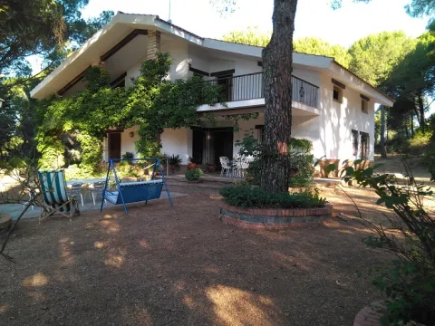 arroyo%20del%20gallo.jpg