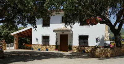 cabeza%20alta.jpg