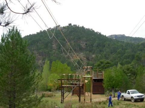 image_177365.jpeg
