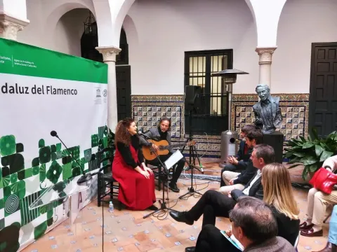 Festival%20Flamenco%20y%20Mestizos.jpeg