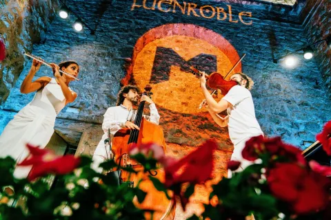 Festival%20Musica%20Segura%20%282%29.jpg