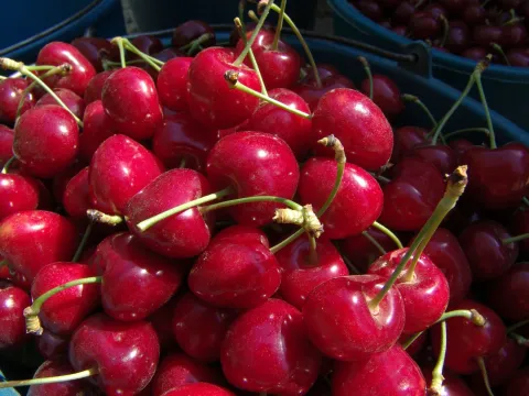 Cereza.jpg