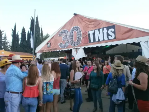 P1010271.JPG