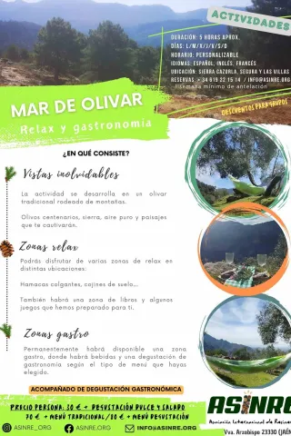 mar-de-olivar-5-jpg