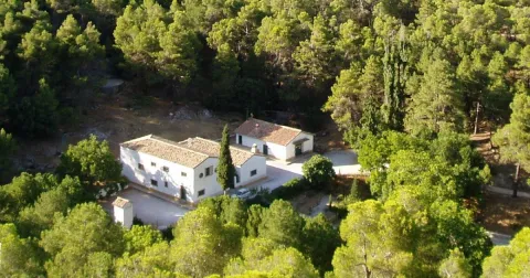 albergue%20%281%29.jpg