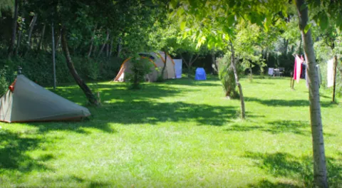 camping2.png