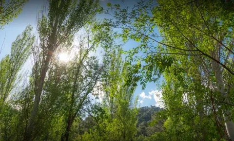 naturaleza.png