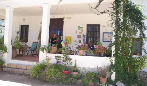 hoyo-pinos.jpg