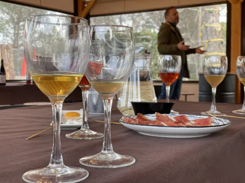 cata-vinos_pedroolivares_contaderoaventuras-jpeg