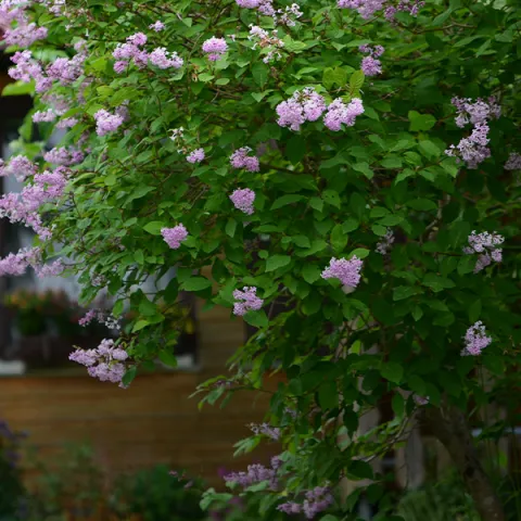 casarural_50.jpg
