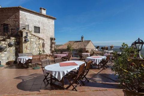 olivar1-jpg
