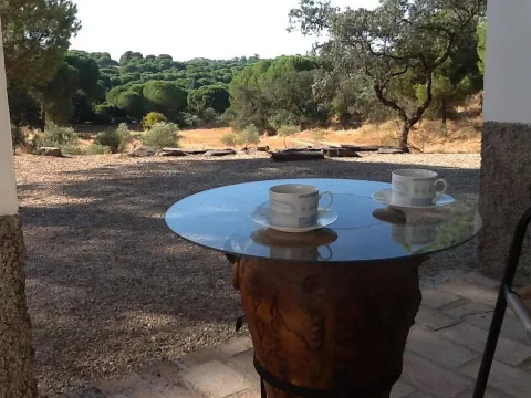 EL%20ALAMILLO.jpg