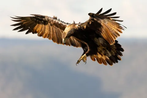 201899960_2867056816882822_5242982993524604415_n.jpg