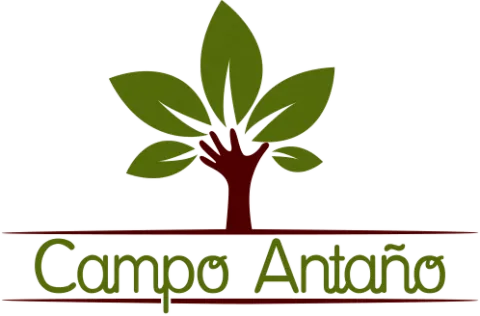 logo_retina%20%281%29.png
