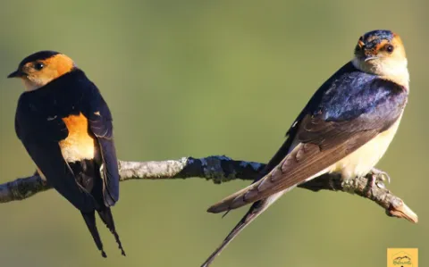natur.jpg