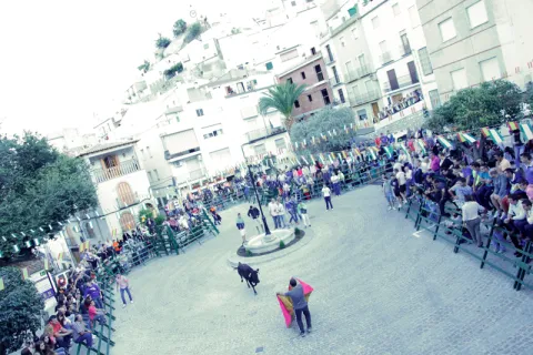 patro3.jpg