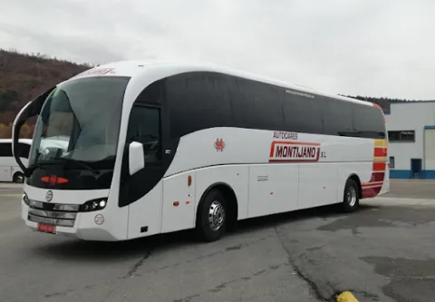 autocares-montijano.png