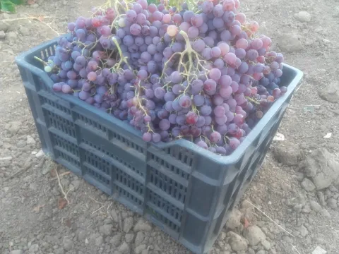 20190909_193612%20%281%29.jpg