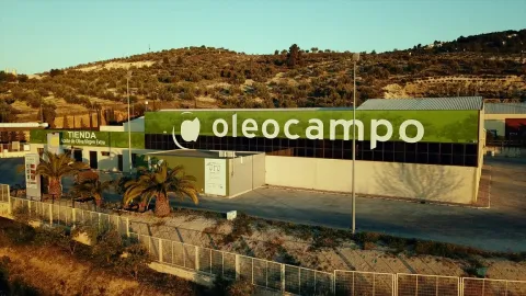 Oleocampo%20principal.jpg