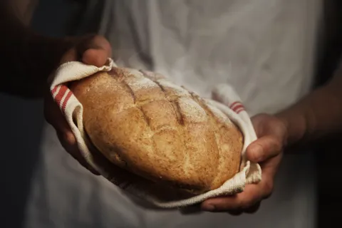 barra_linarense_panaderia_ortega3.jpg