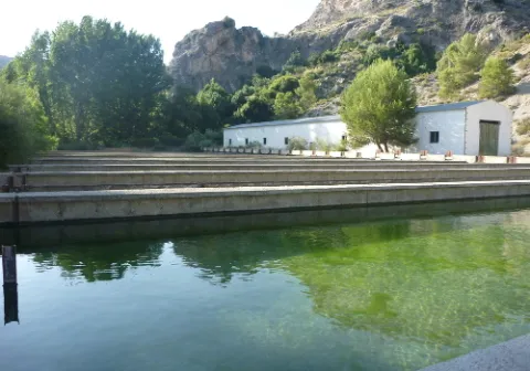 cazorlacasascueva_coto.jpg