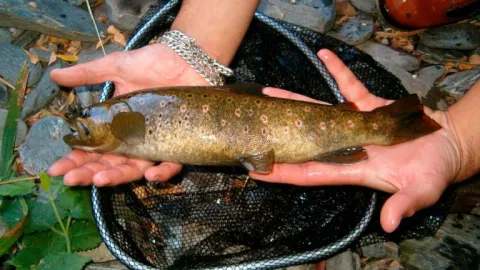 pescador_14362212_20200216164819.jpg