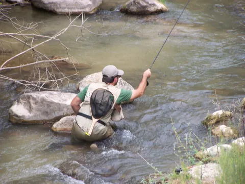 Pesca-Mosca.jpg