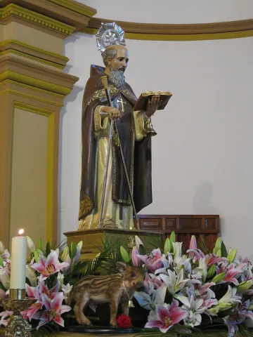IMG_6993.JPG