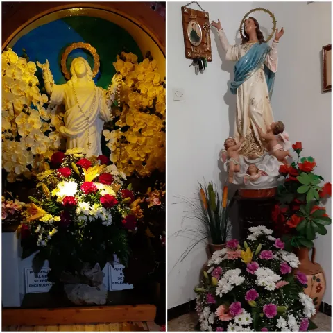 maria1_iruela%20%281%29.jpg