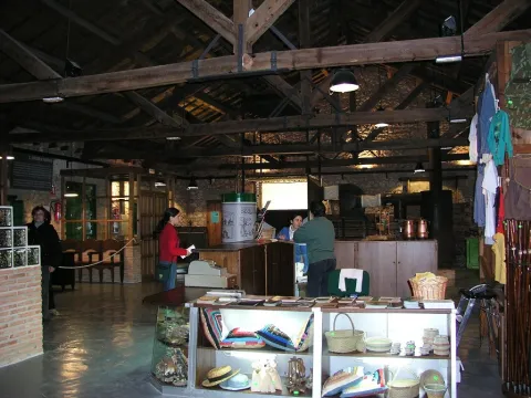 P1010009.JPG