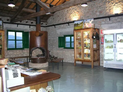 P1010010.JPG