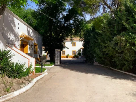 Oleoturismo_Thuelma%20_sm2%20%283%29.jpg