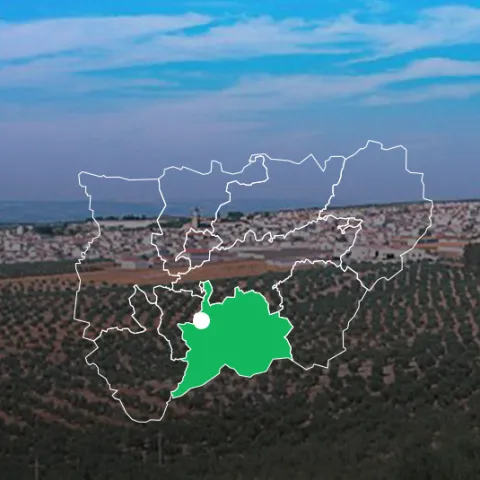 manchareal-jpg