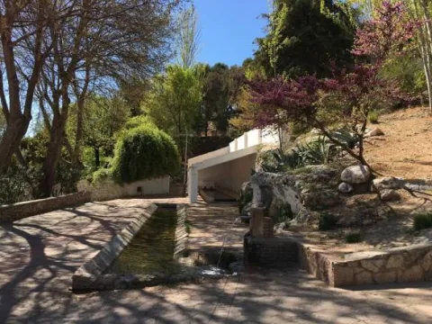 nacimiento-de-salvador-gudu-jpg