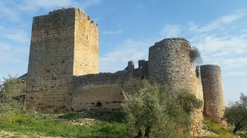 castillo-de-la-aragonesa-1-jpg