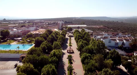 paseo-1-1-jpg