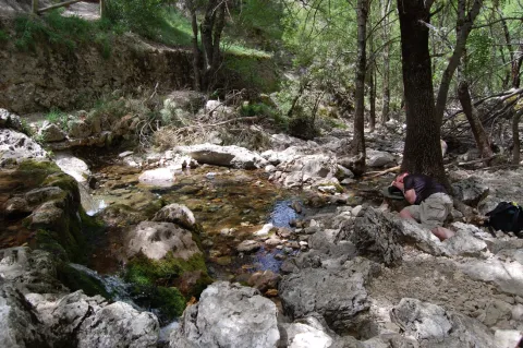 nacimiento-del-gadalquivir-jpg