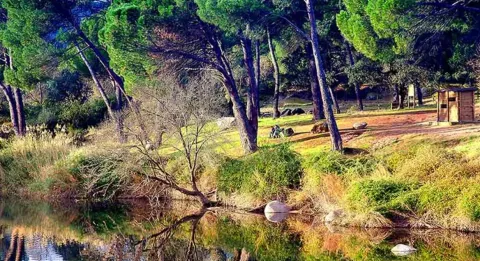 Anotaci%C3%B3n%202020-04-16%20084429.jpg