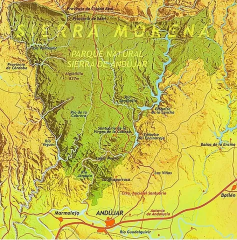 Anotaci%C3%B3n%202020-04-16%200884850.jpg