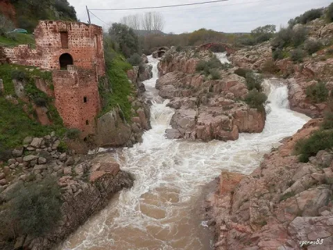 linares3.jpg
