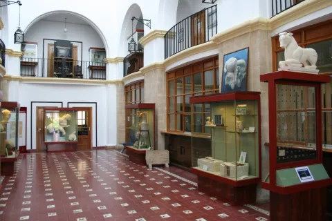 Img%20014.jpg